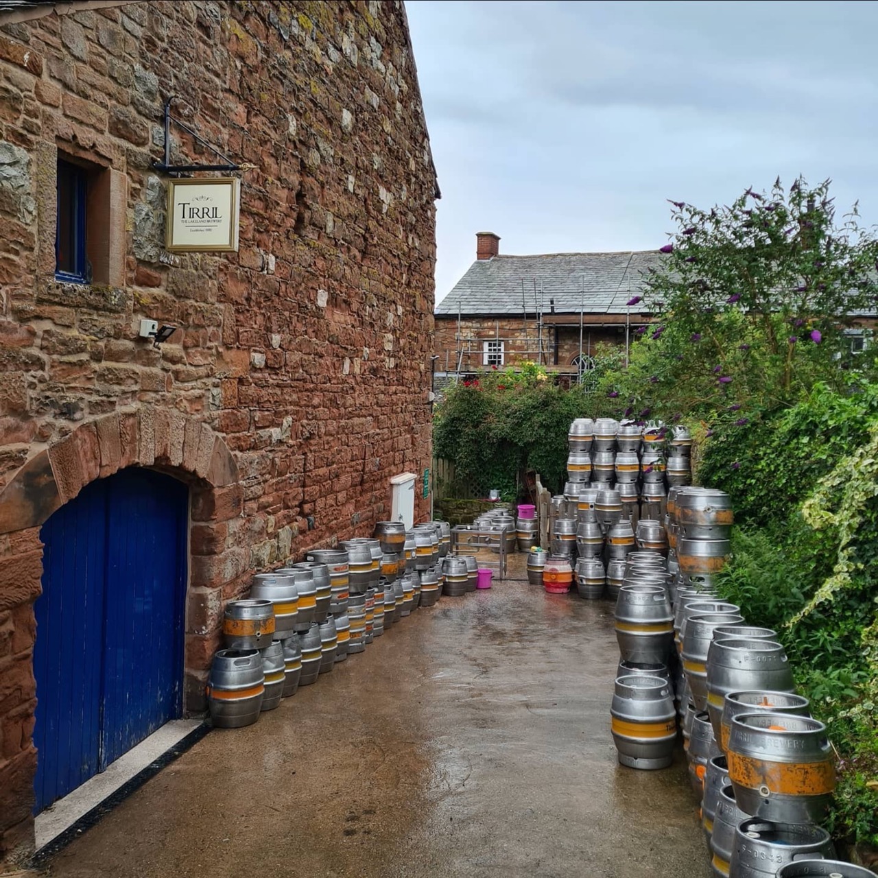 Tirril Brewery Gift Box 3 pack - 3 x 500ml - Image 6